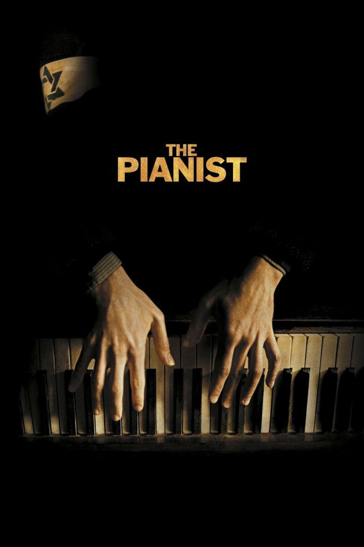 Affiche du film Le pianiste